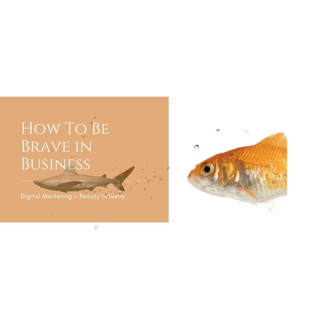 کاروبار میں بہادر کیسے بنیں